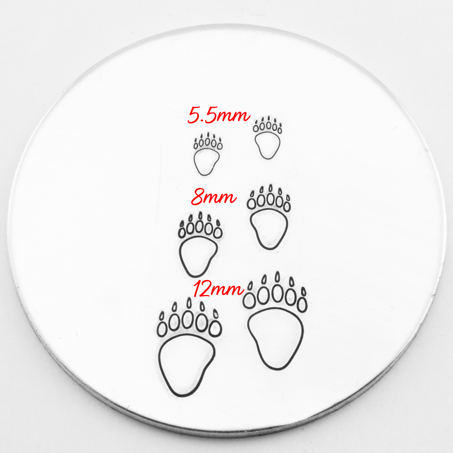 Bear imprint (back paw )