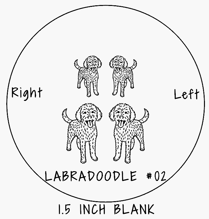 Labradoodle #02