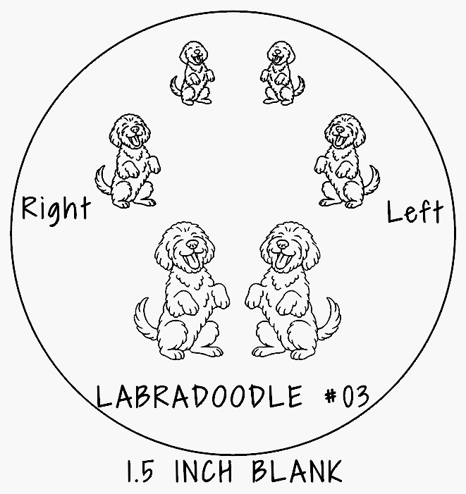 Labradoodle #03