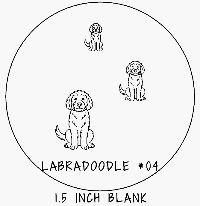 Labradoodle #04