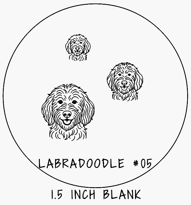 Labradoodle #05