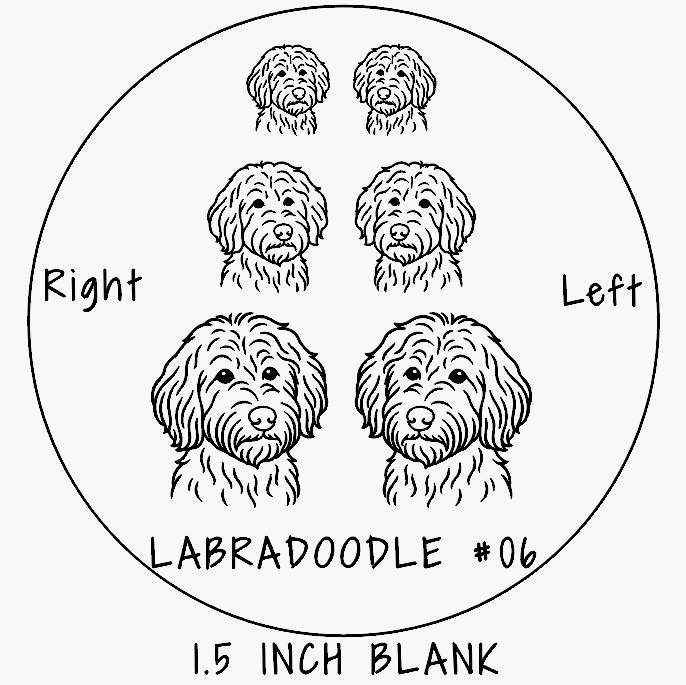 Labradoodle #06