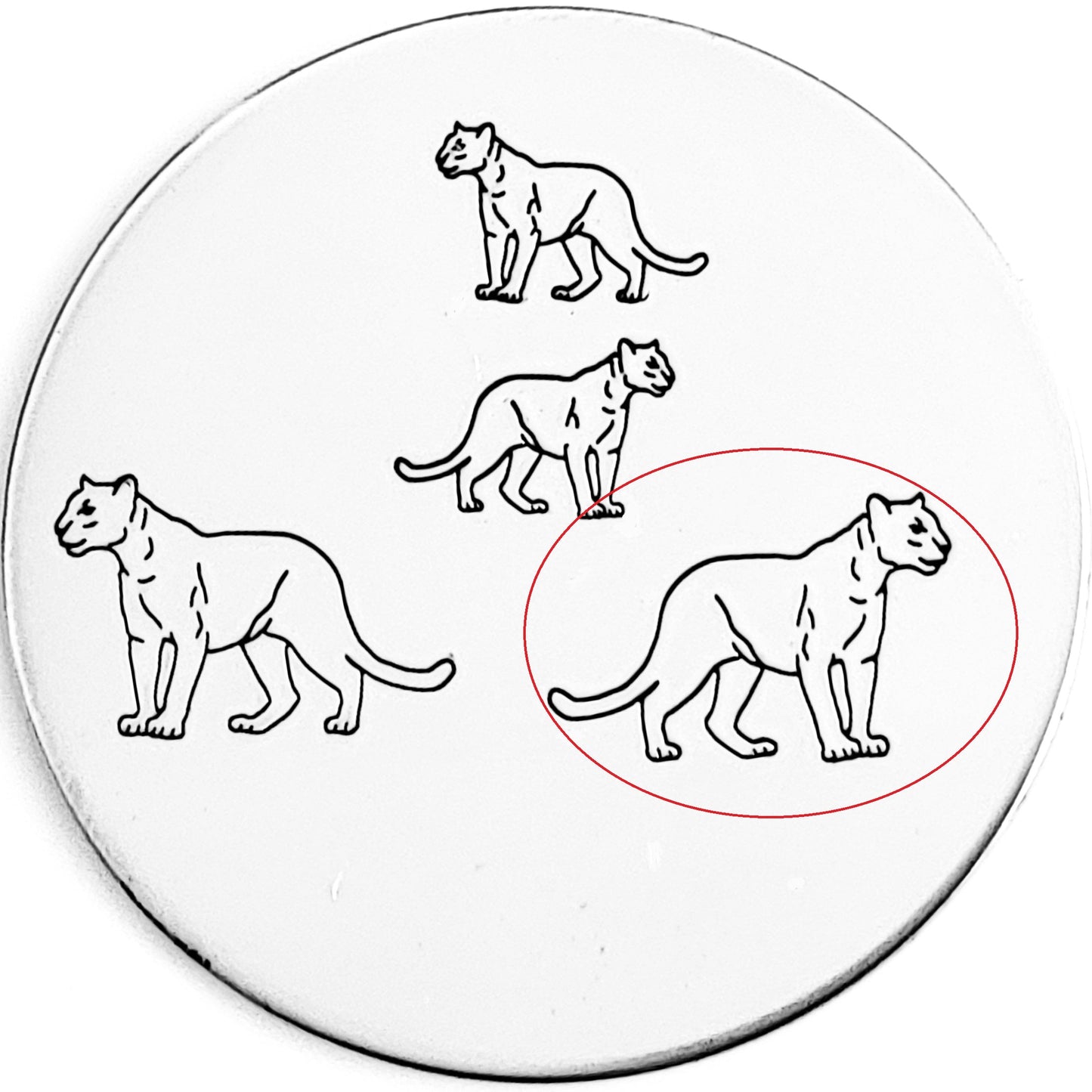 Panther / Cougar / Big Cat