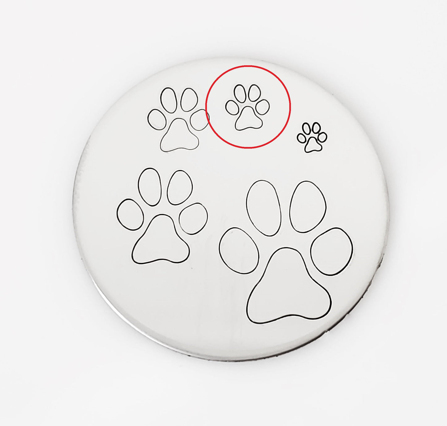 Paw Print