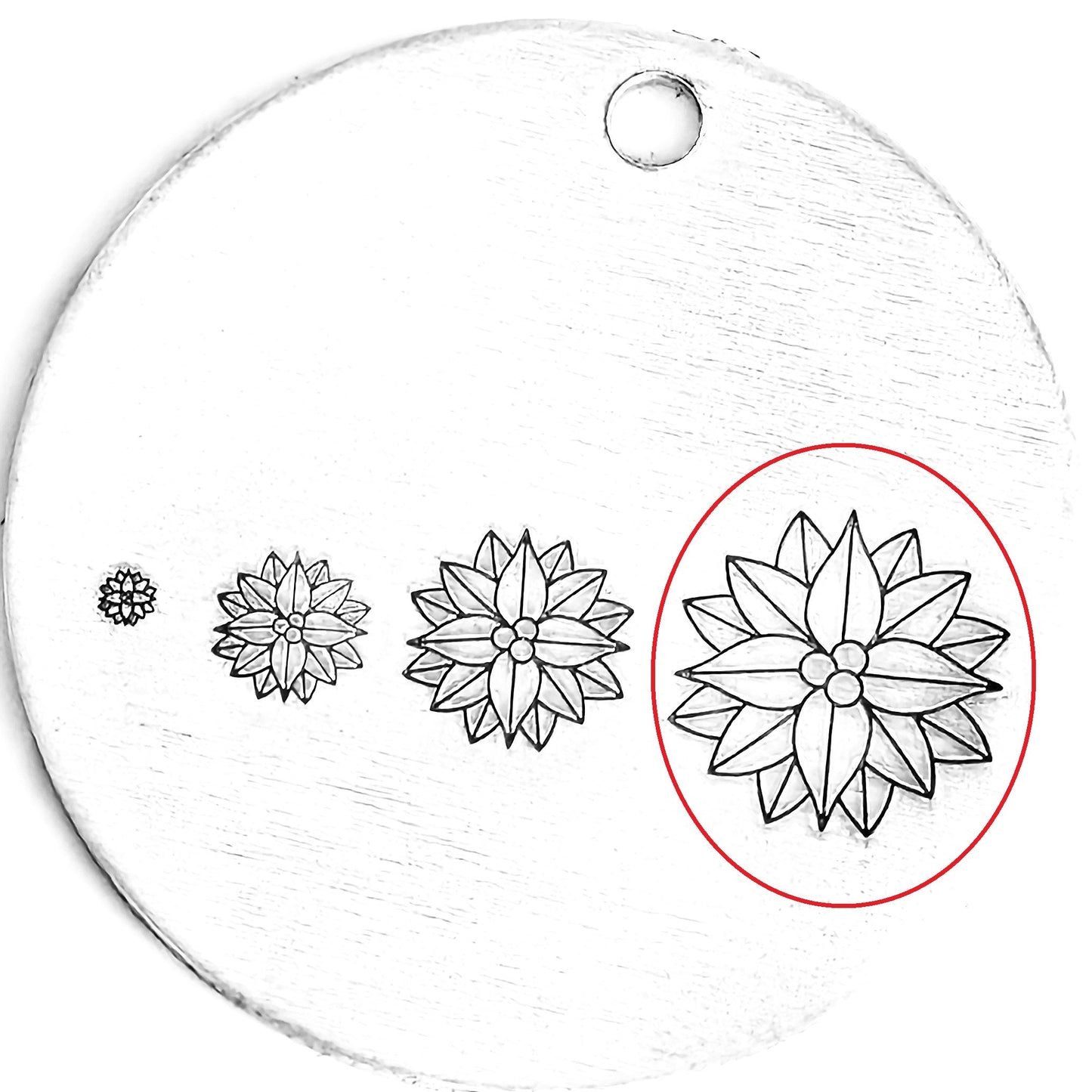 Poinsettia #04 - December Birthflower