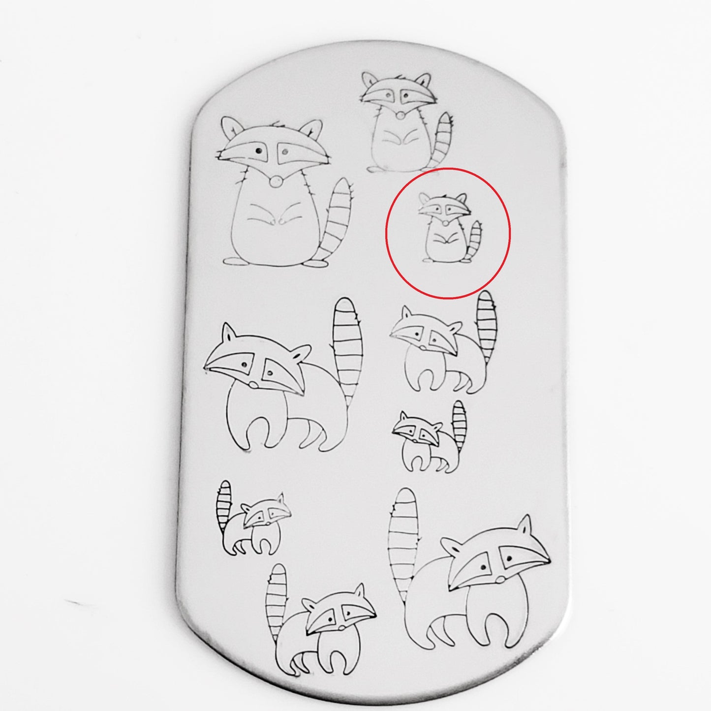 OS Raccoons