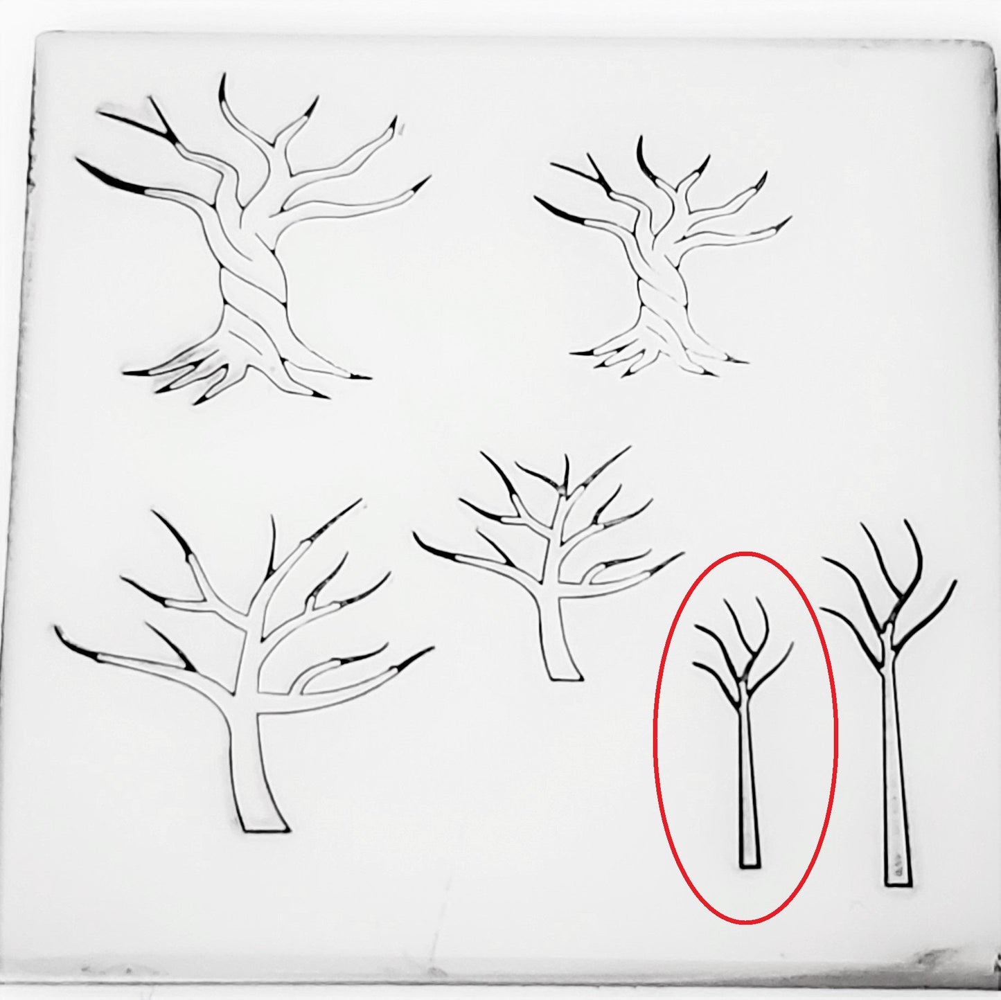 Tree Of Life