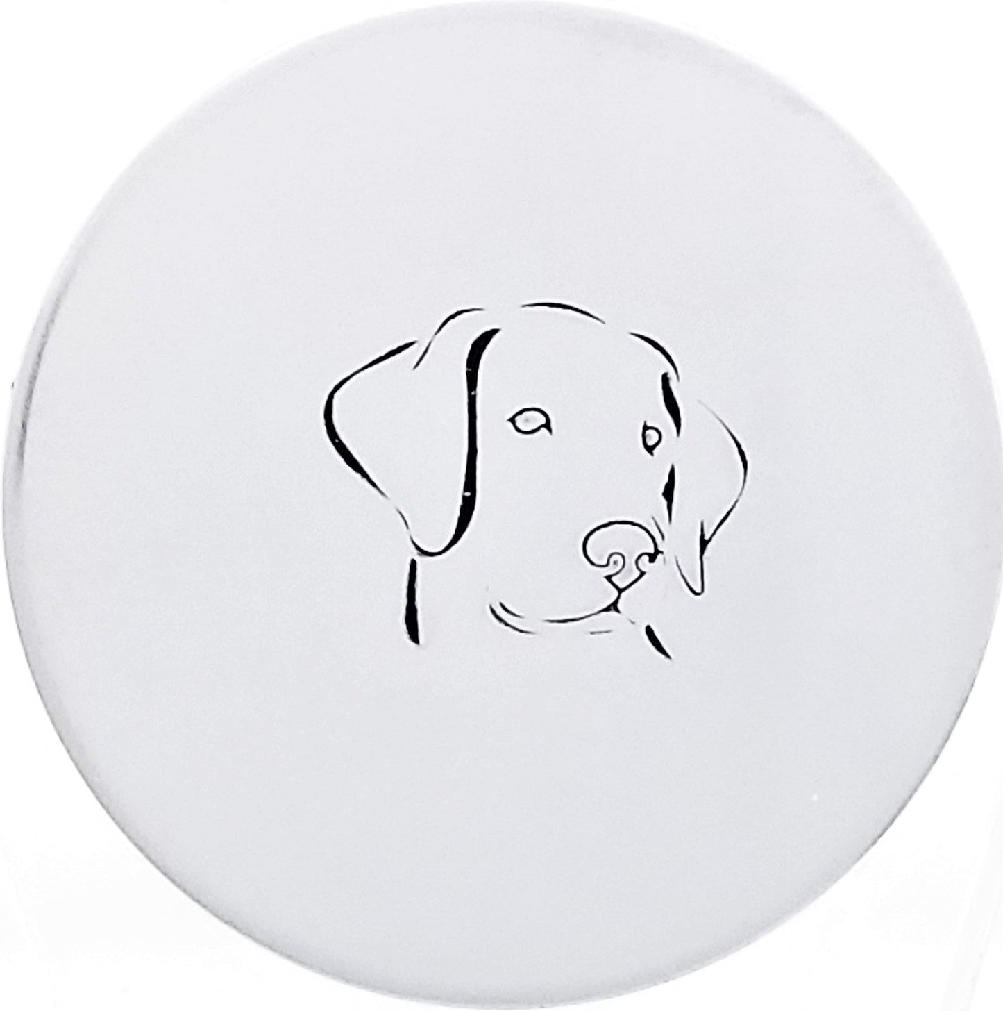 Labrador Head