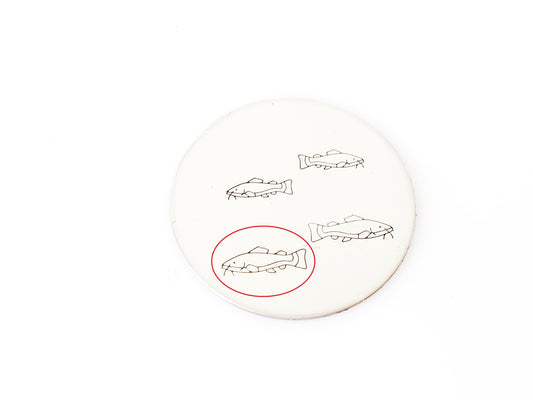 Fishes - Catfish #02