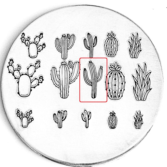 Cactus #07