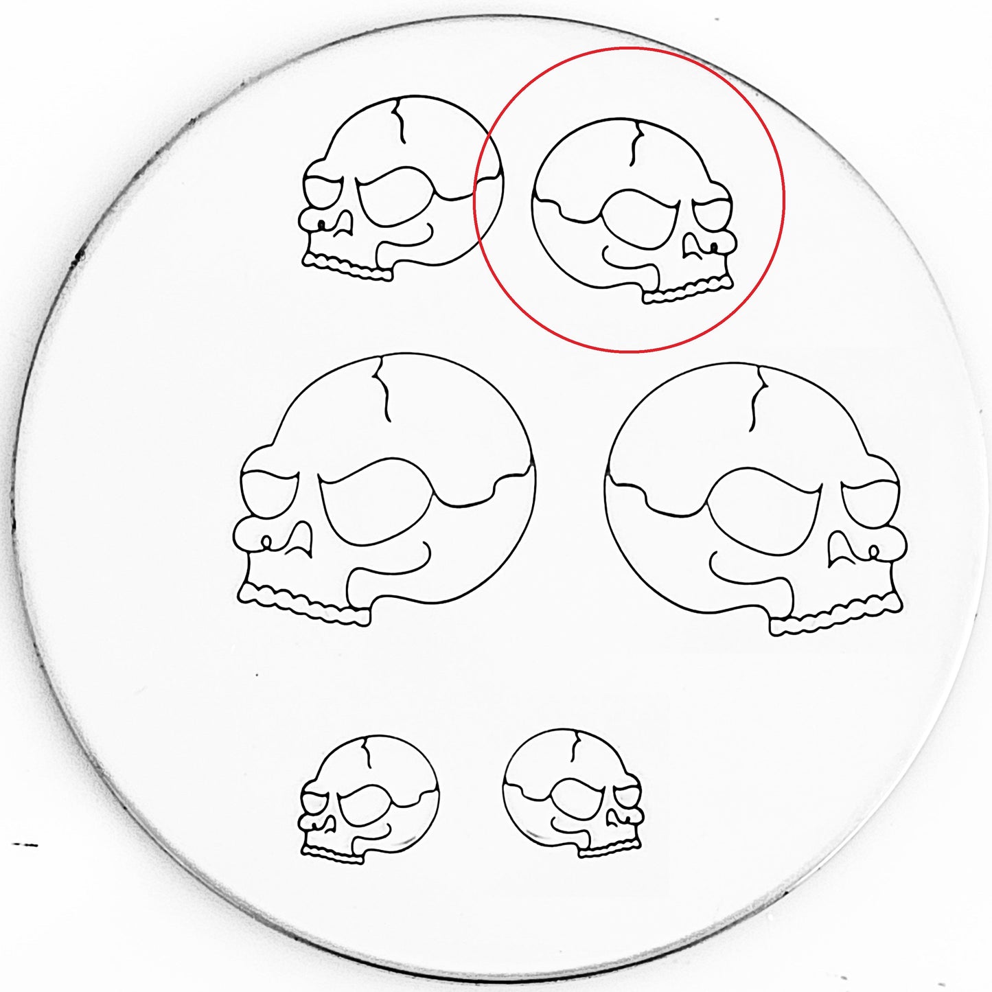 Cartoon Skull