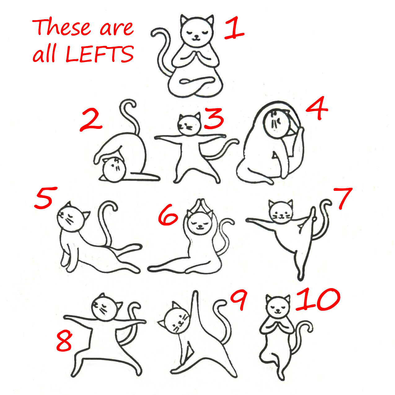 Yoga Cats