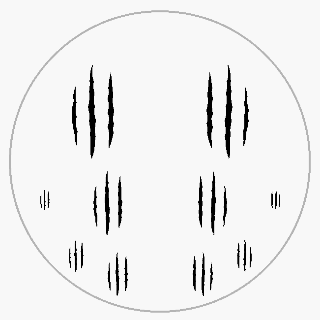 Claw Mark #02