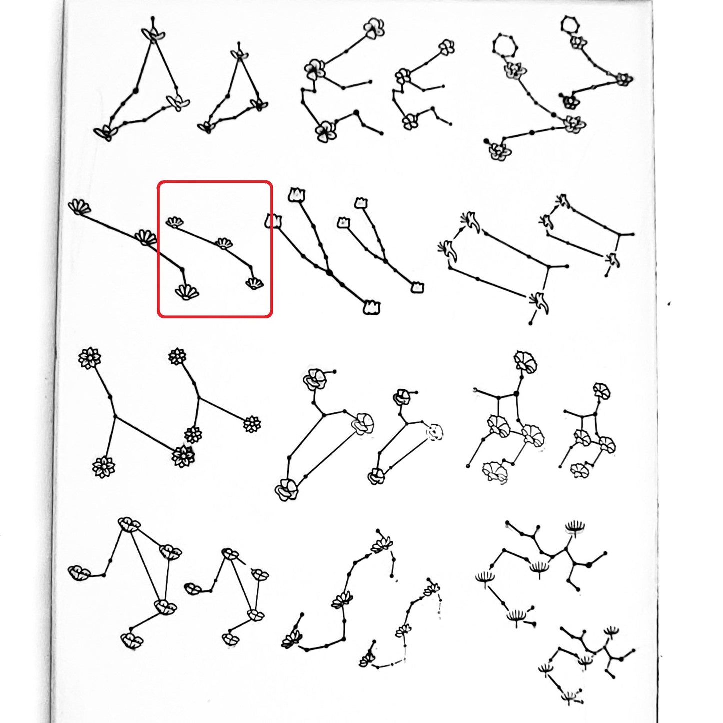 Flower Constellations
