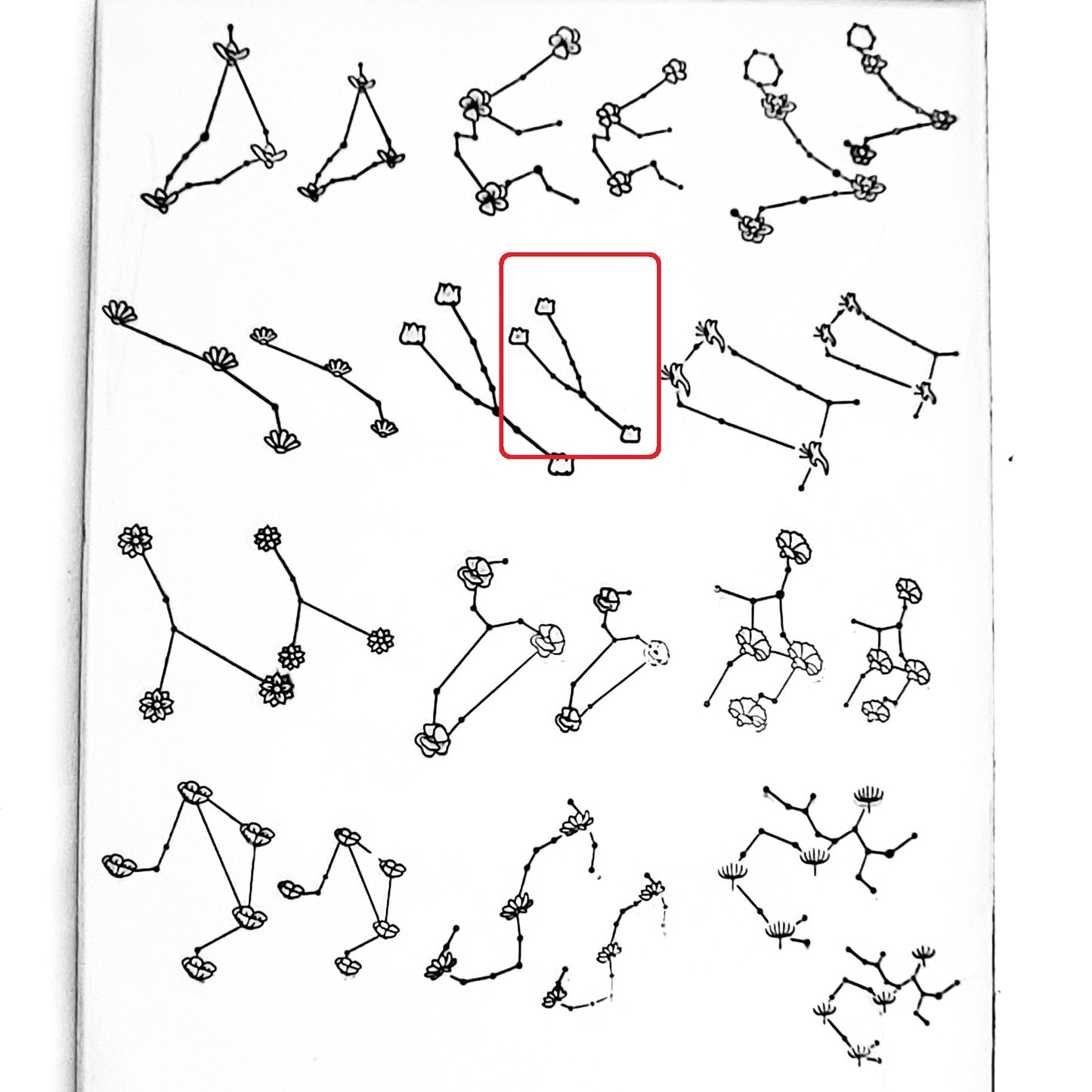 Flower Constellations