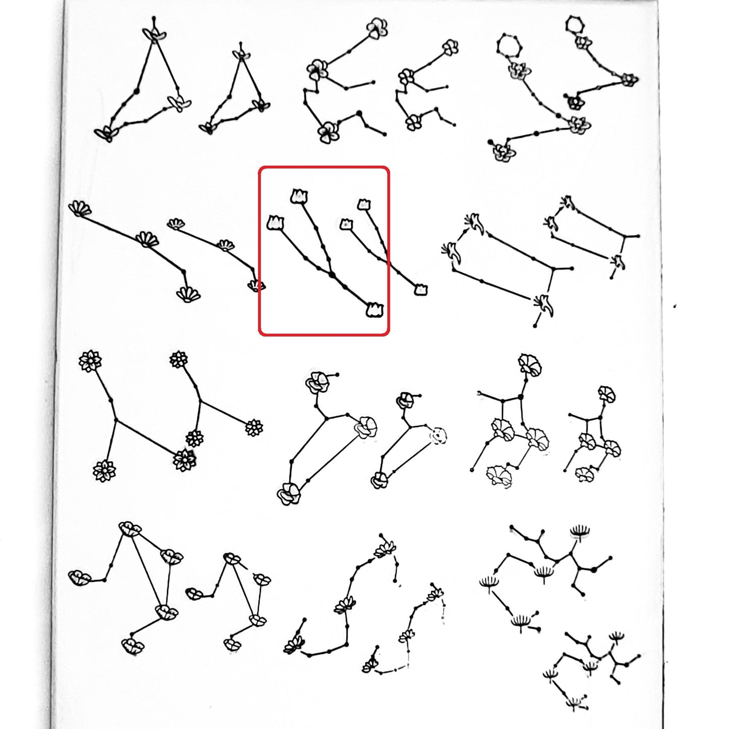 Flower Constellations