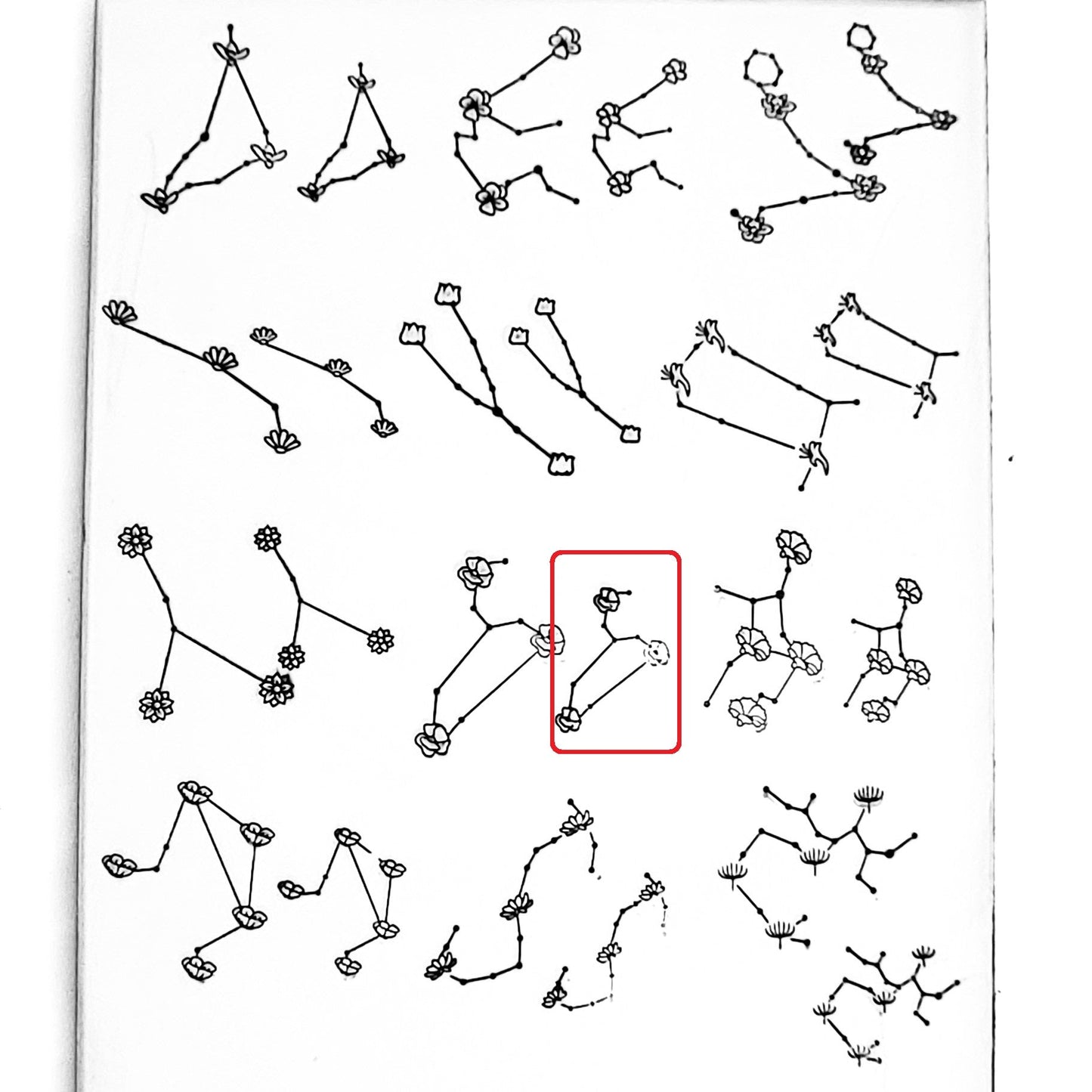 Flower Constellations