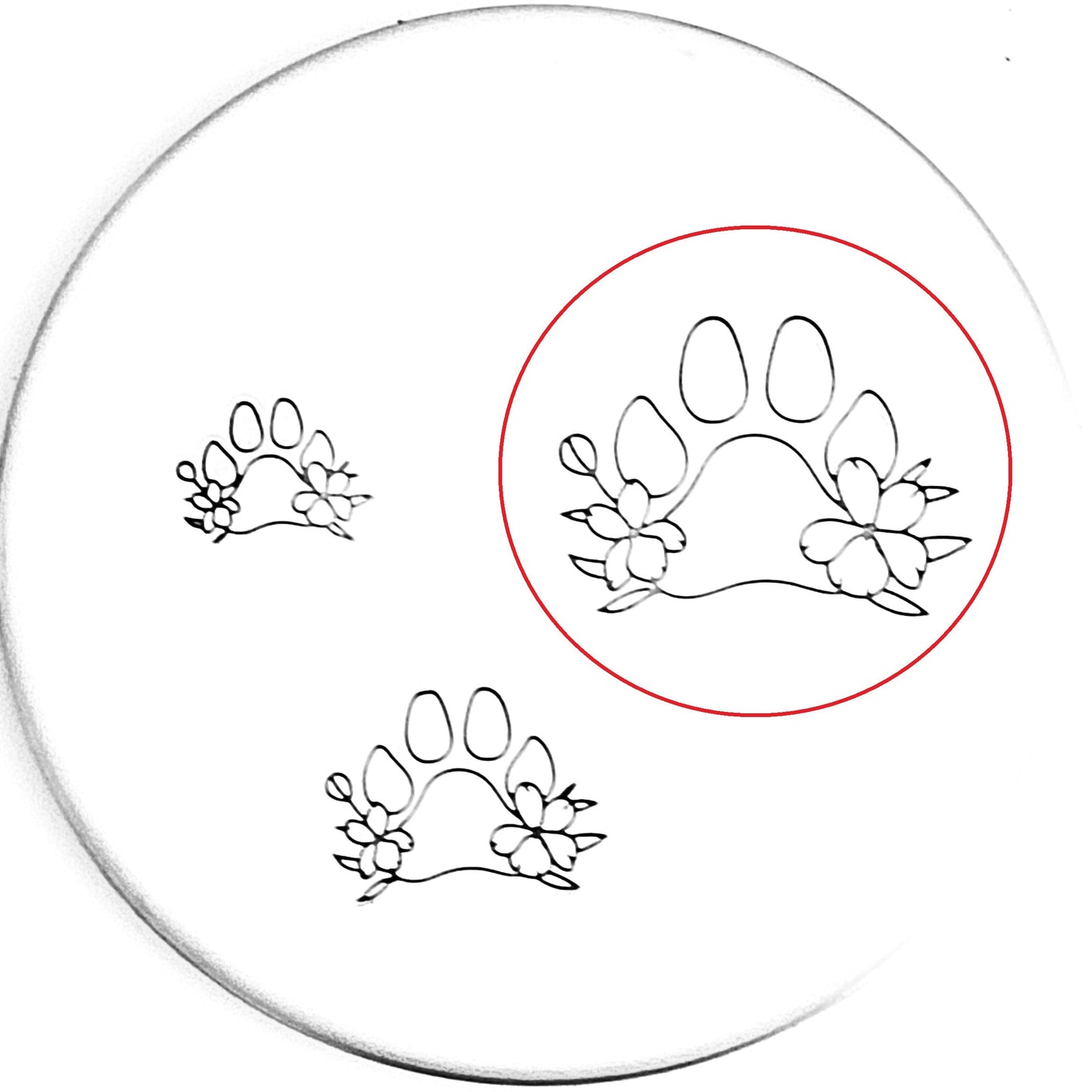 Dog Flower Paw