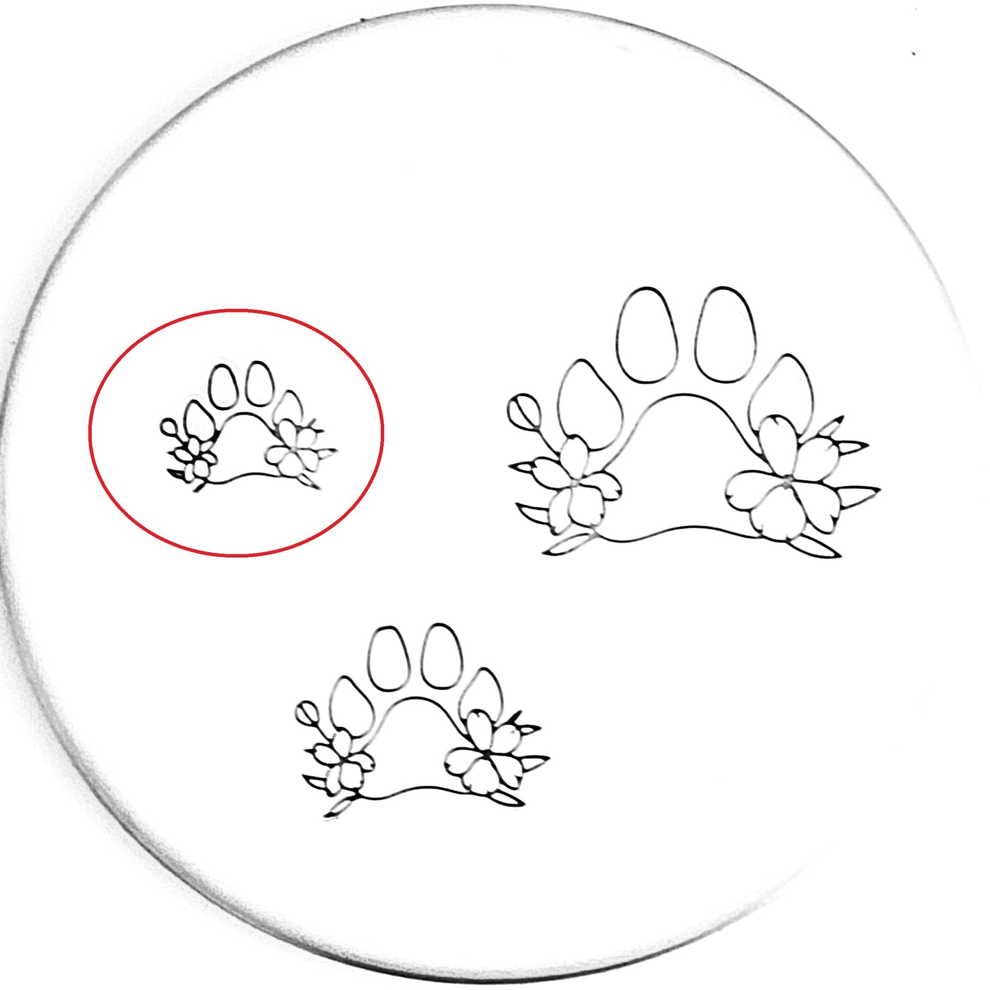 Dog Flower Paw