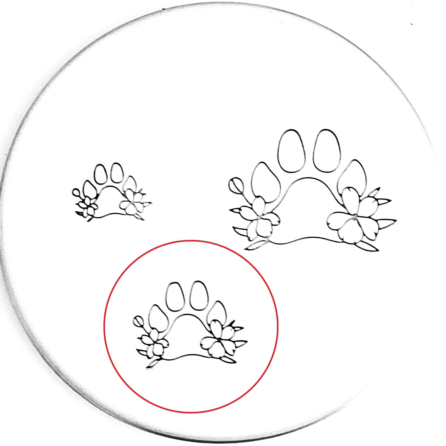 Dog Flower Paw