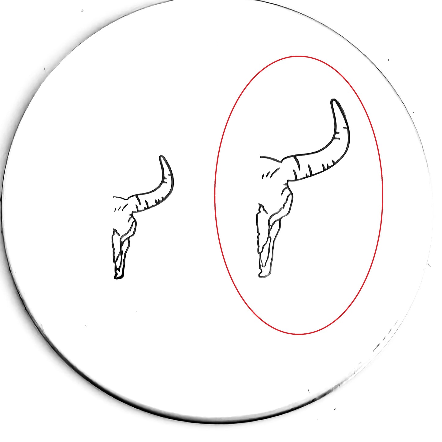 Flower Bull / Long Horn