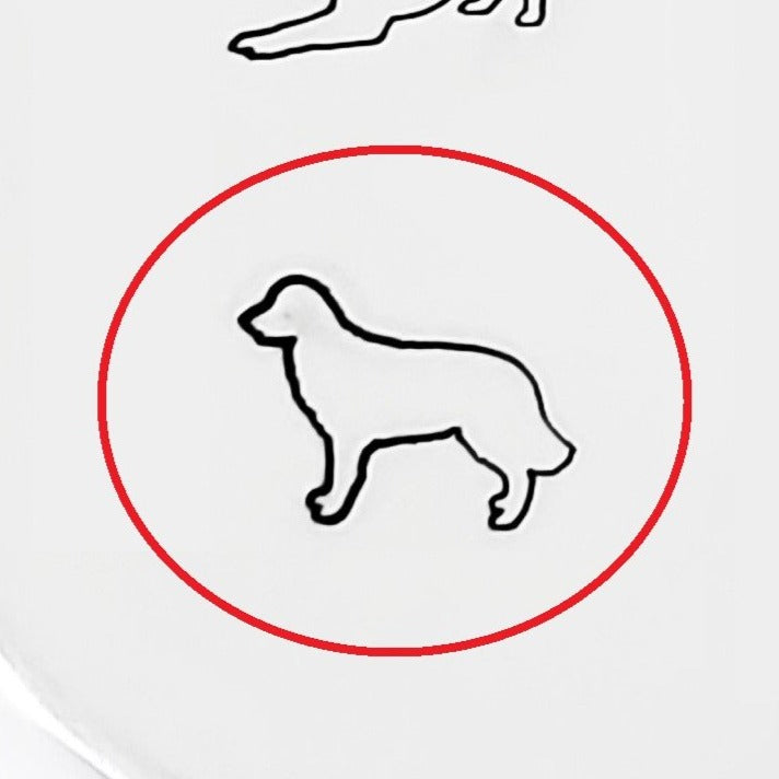 Golden Retriever #01