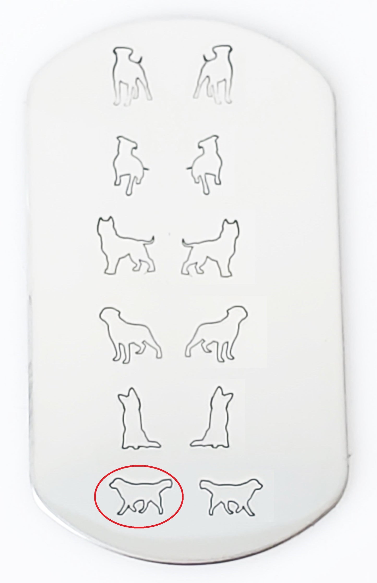 Golden Retriever #02