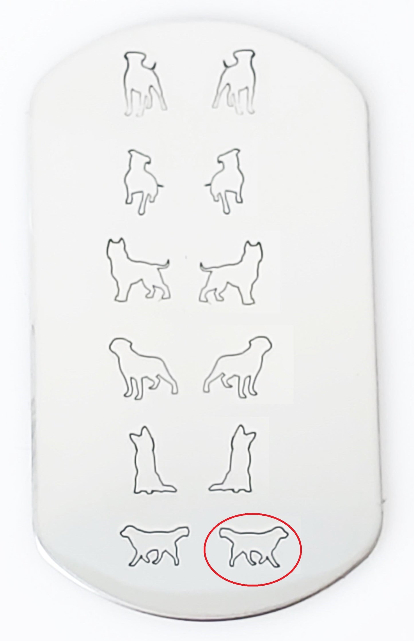 Golden Retriever #02