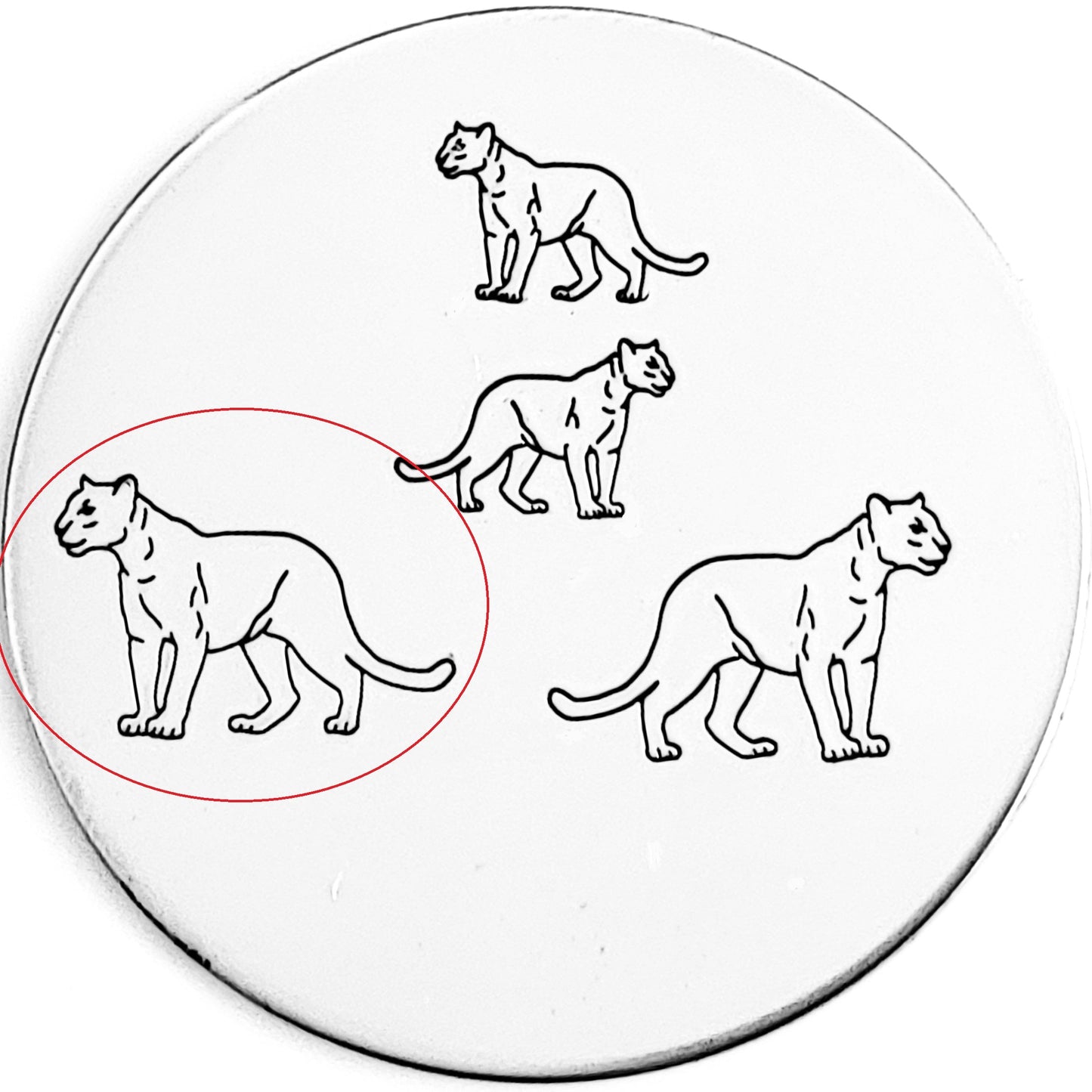 Panther / Cougar / Big Cat