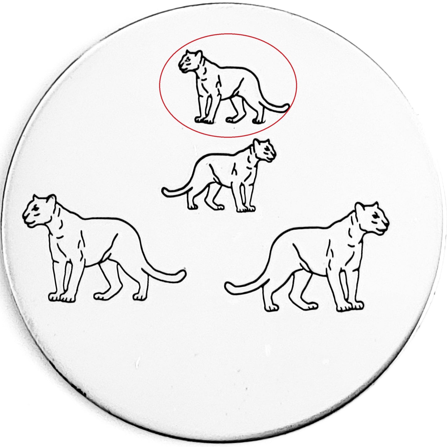 Panther / Cougar / Big Cat