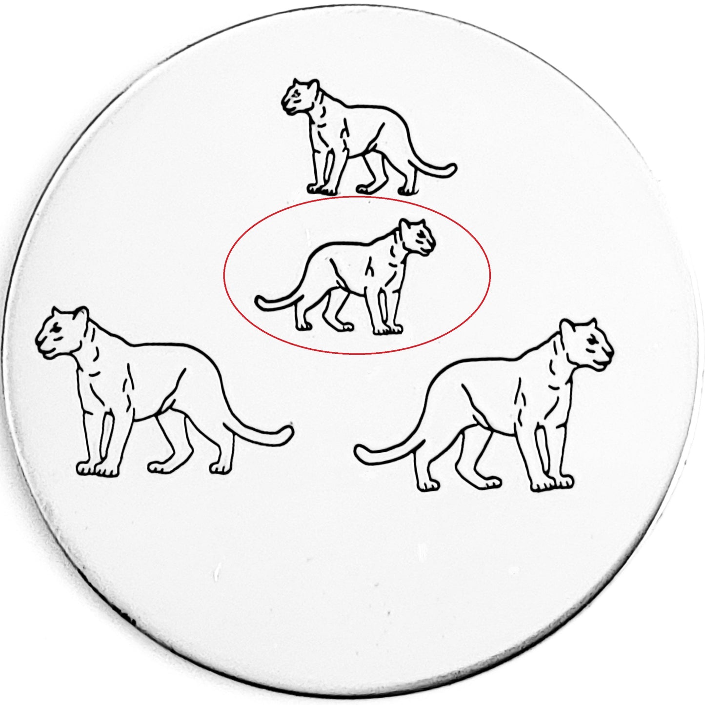 Panther / Cougar / Big Cat