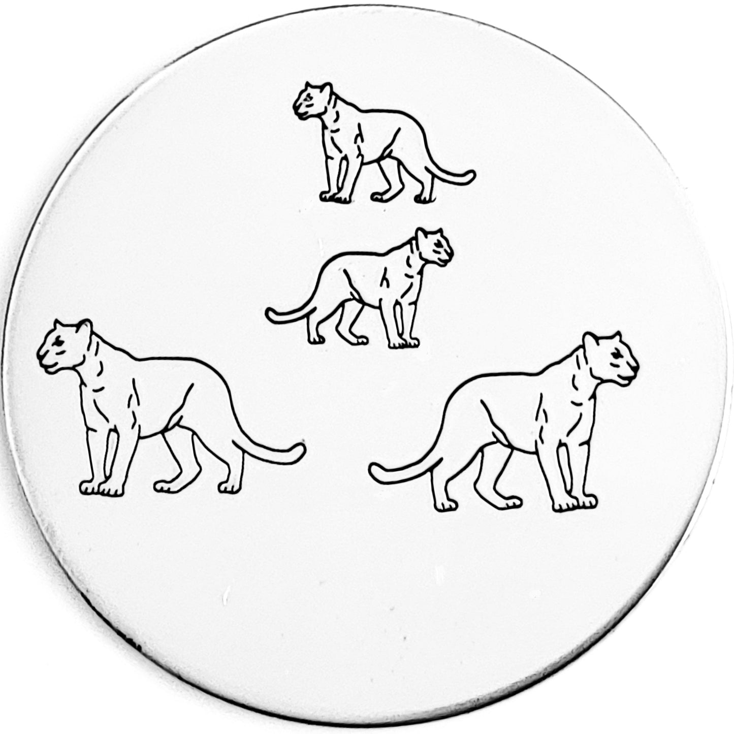 Panther / Cougar / Big Cat