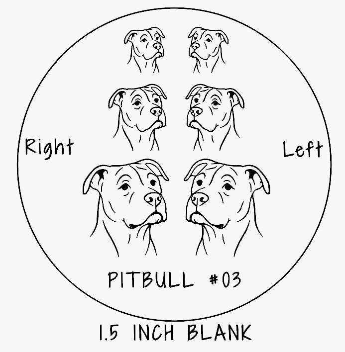 Pitbull #03