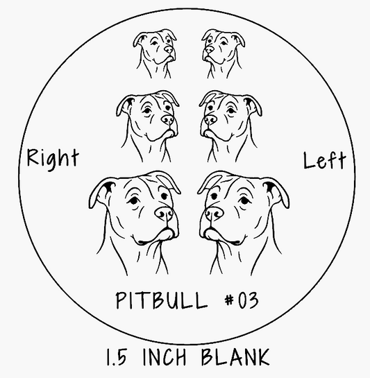 Pitbull #03