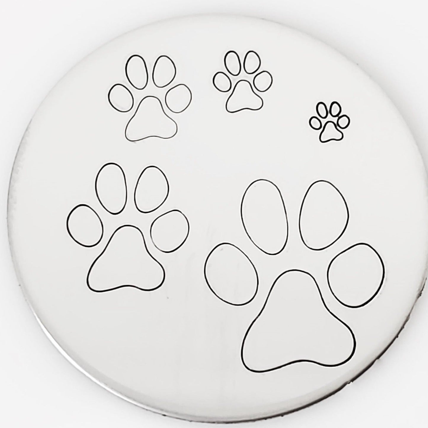 Paw Print