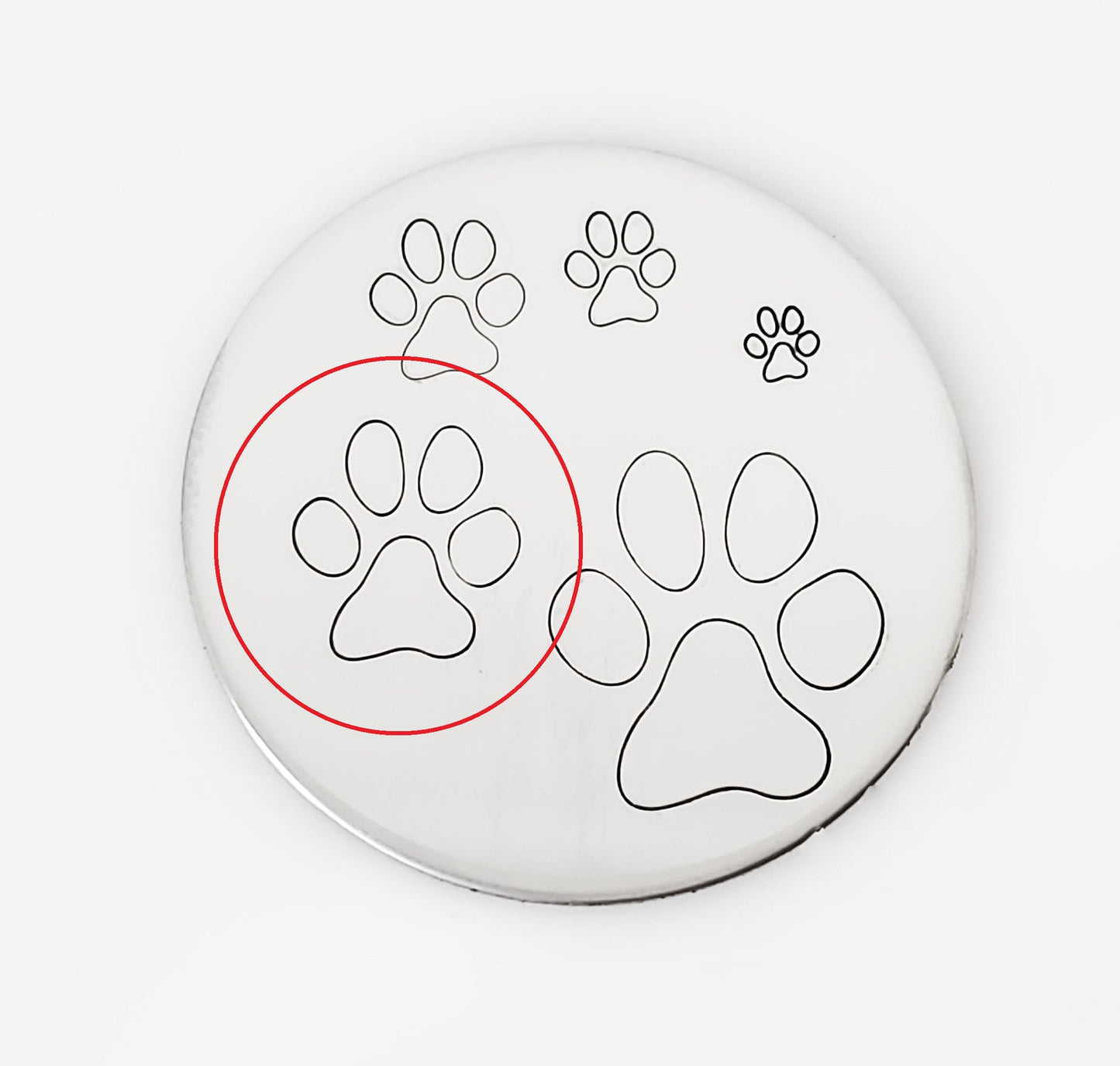 Paw Print