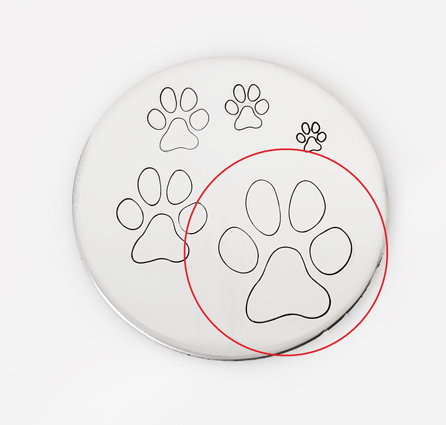Paw Print