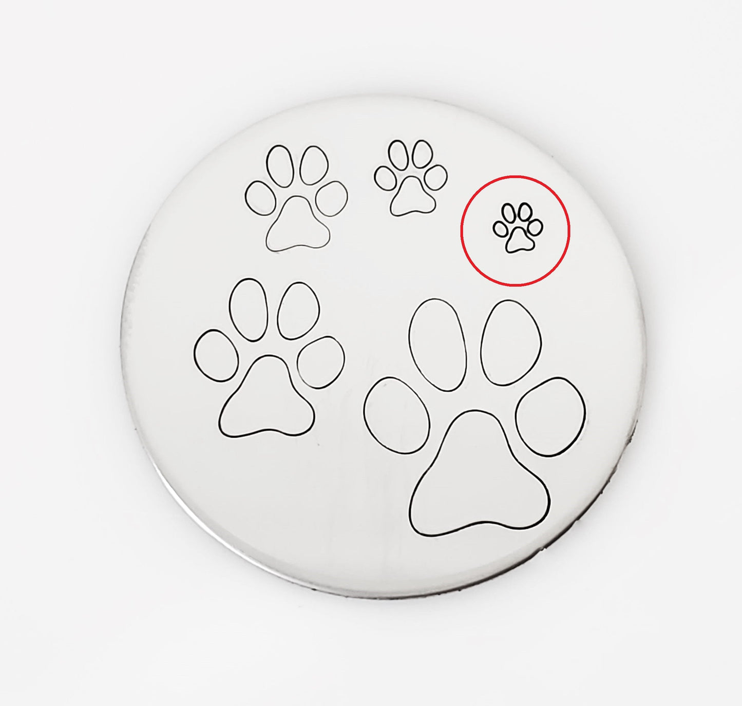 Paw Print