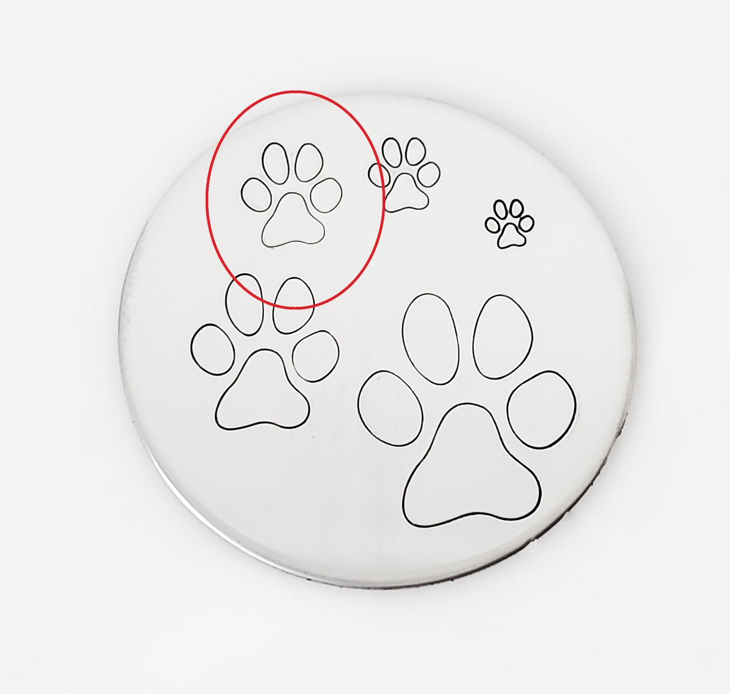Paw Print