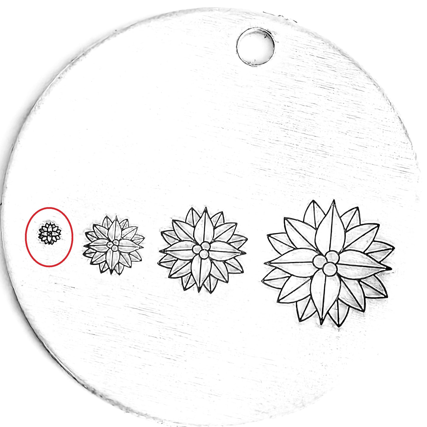 Poinsettia #04 - December Birthflower