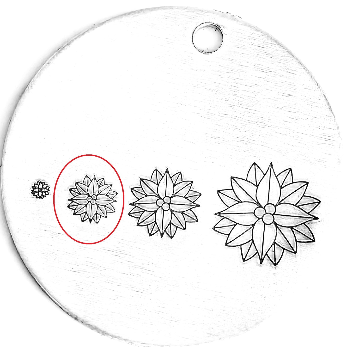 Poinsettia #04 - December Birthflower