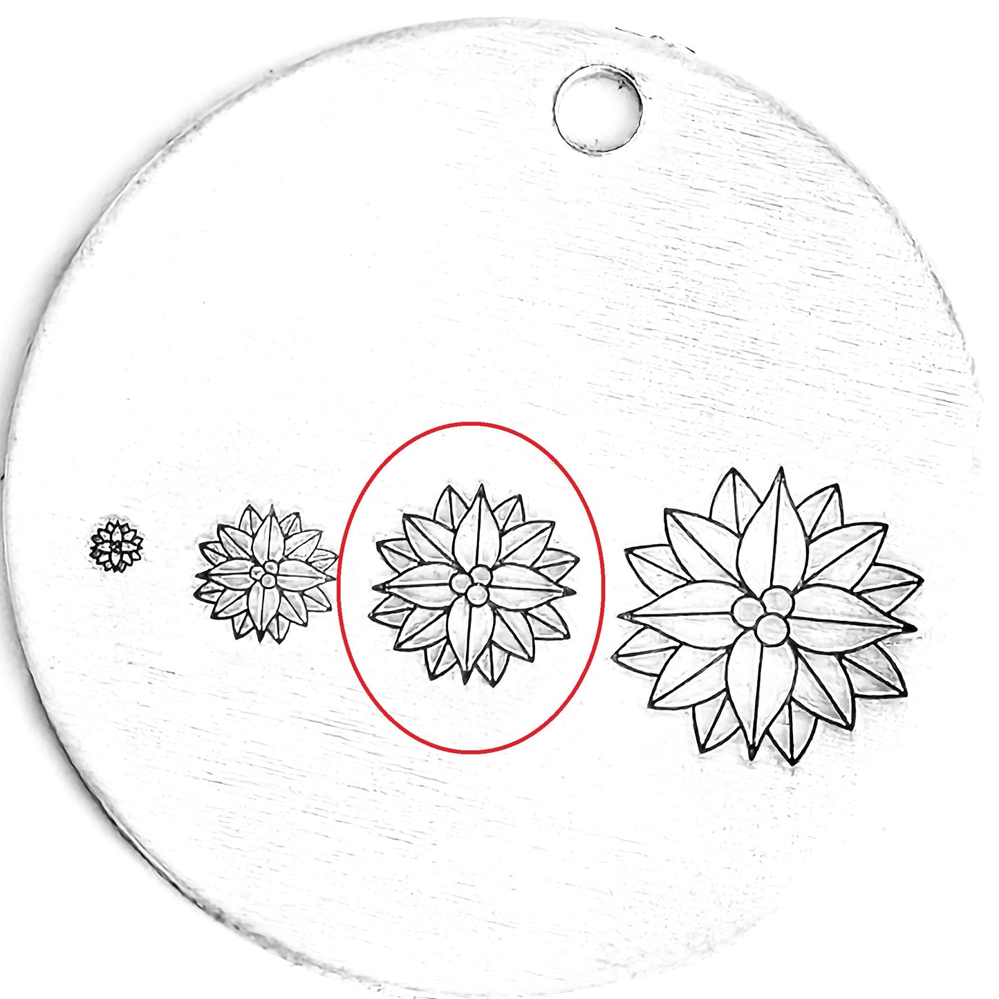 Poinsettia #04 - December Birthflower