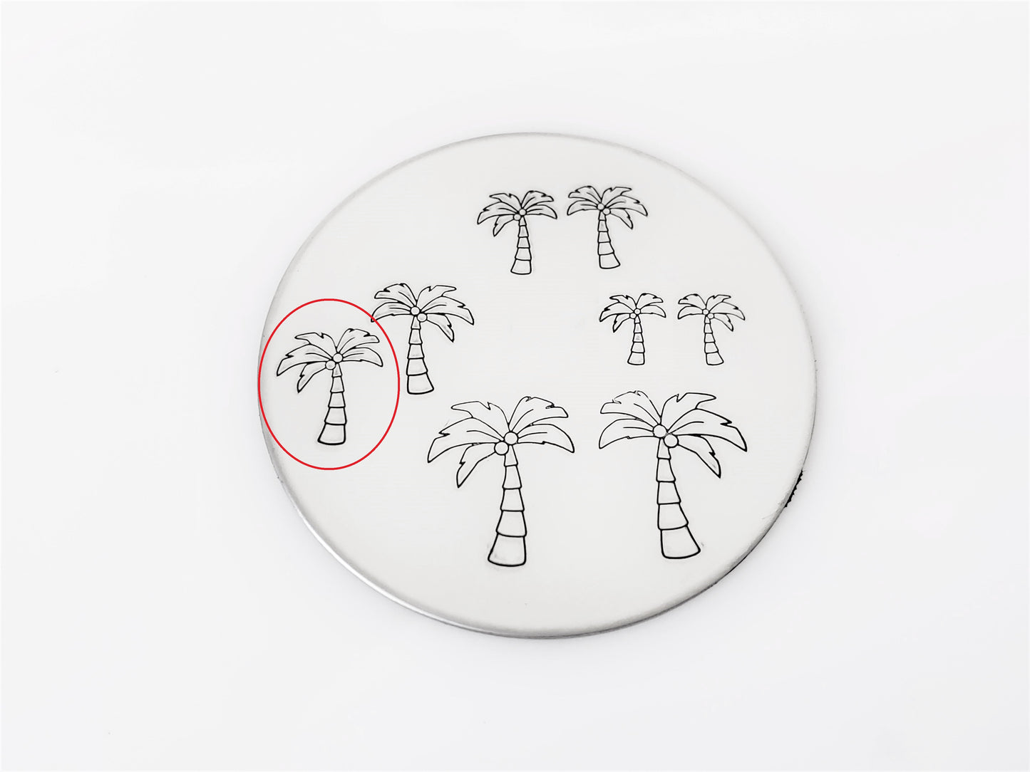 Palm Tree