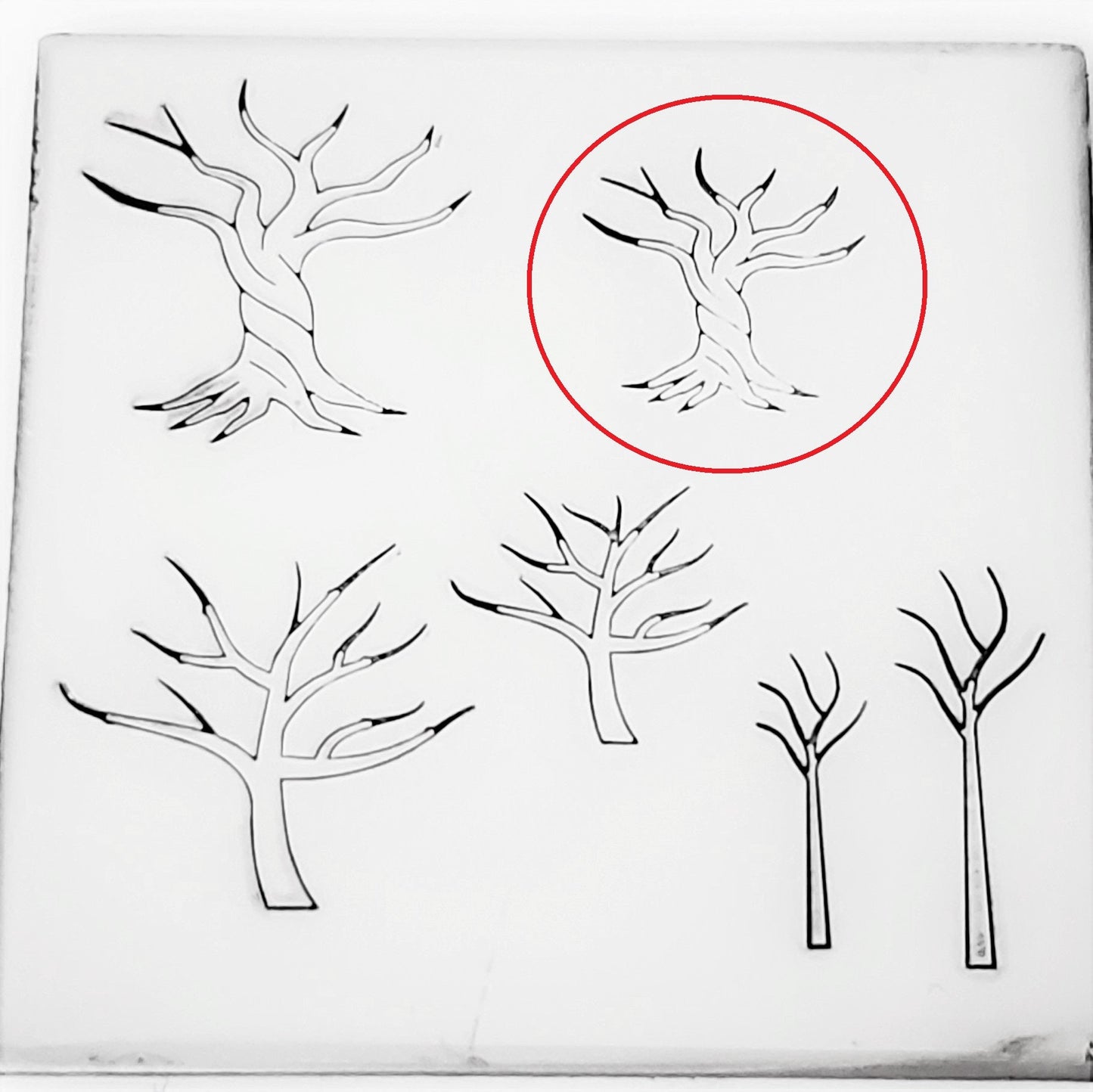 Tree Of Life