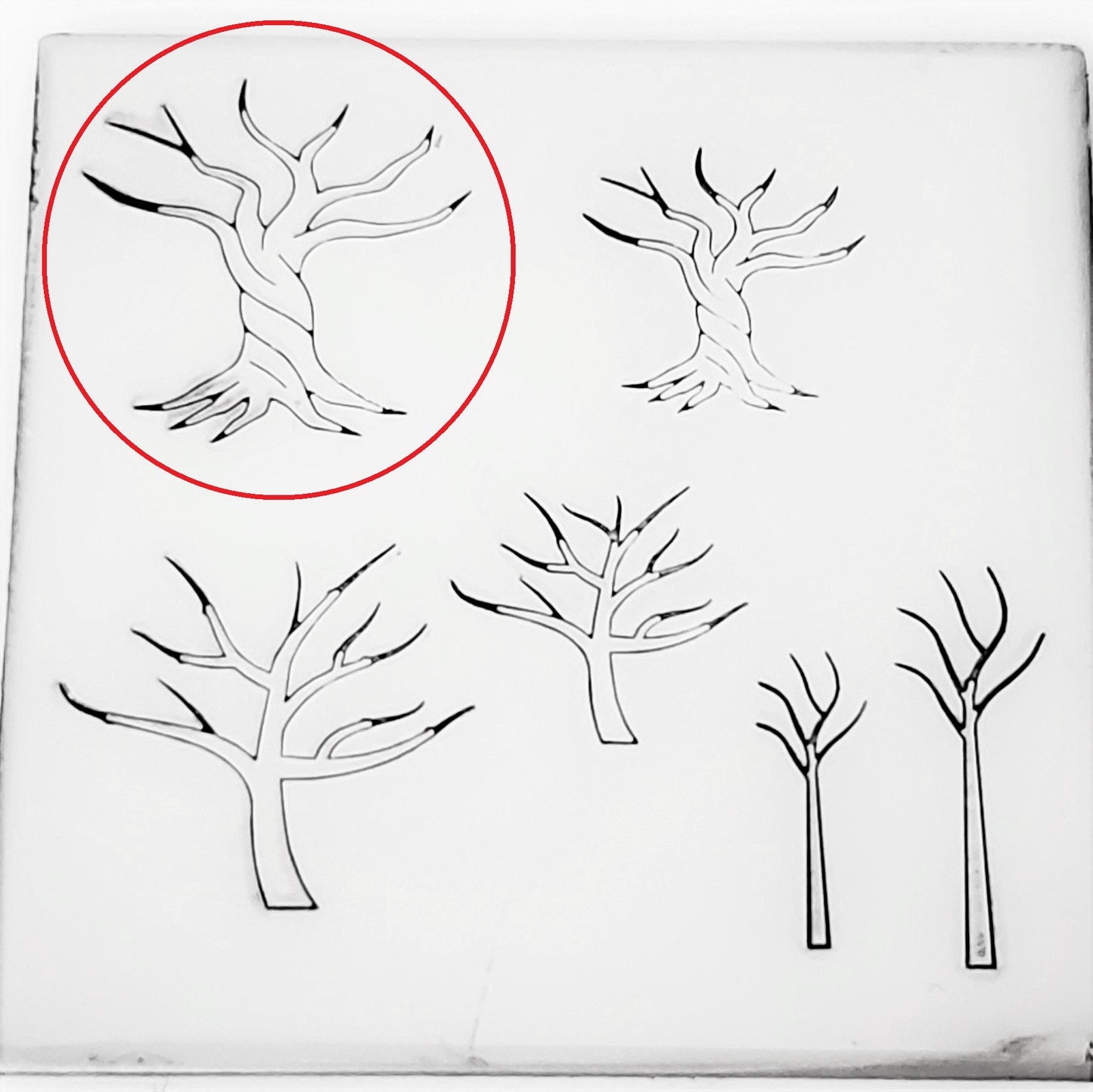 Tree Of Life