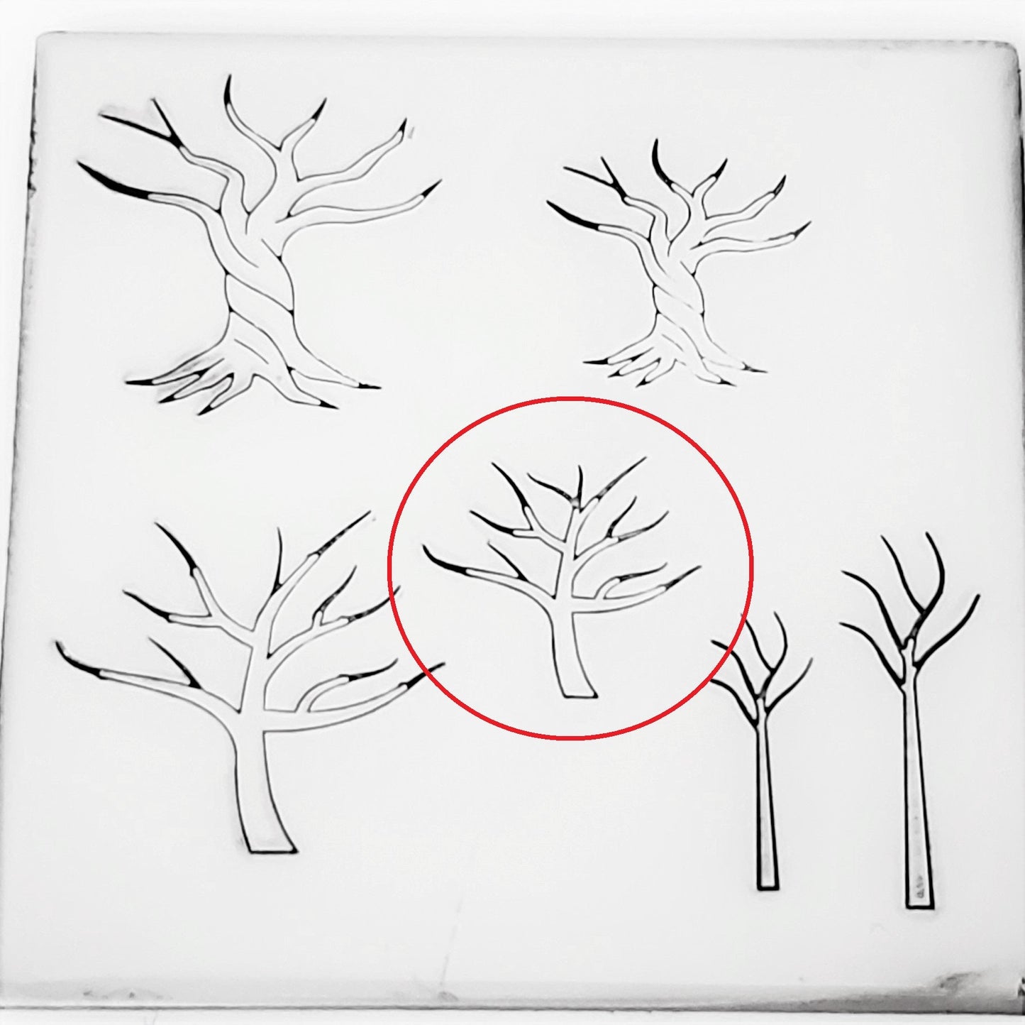 Tree Of Life