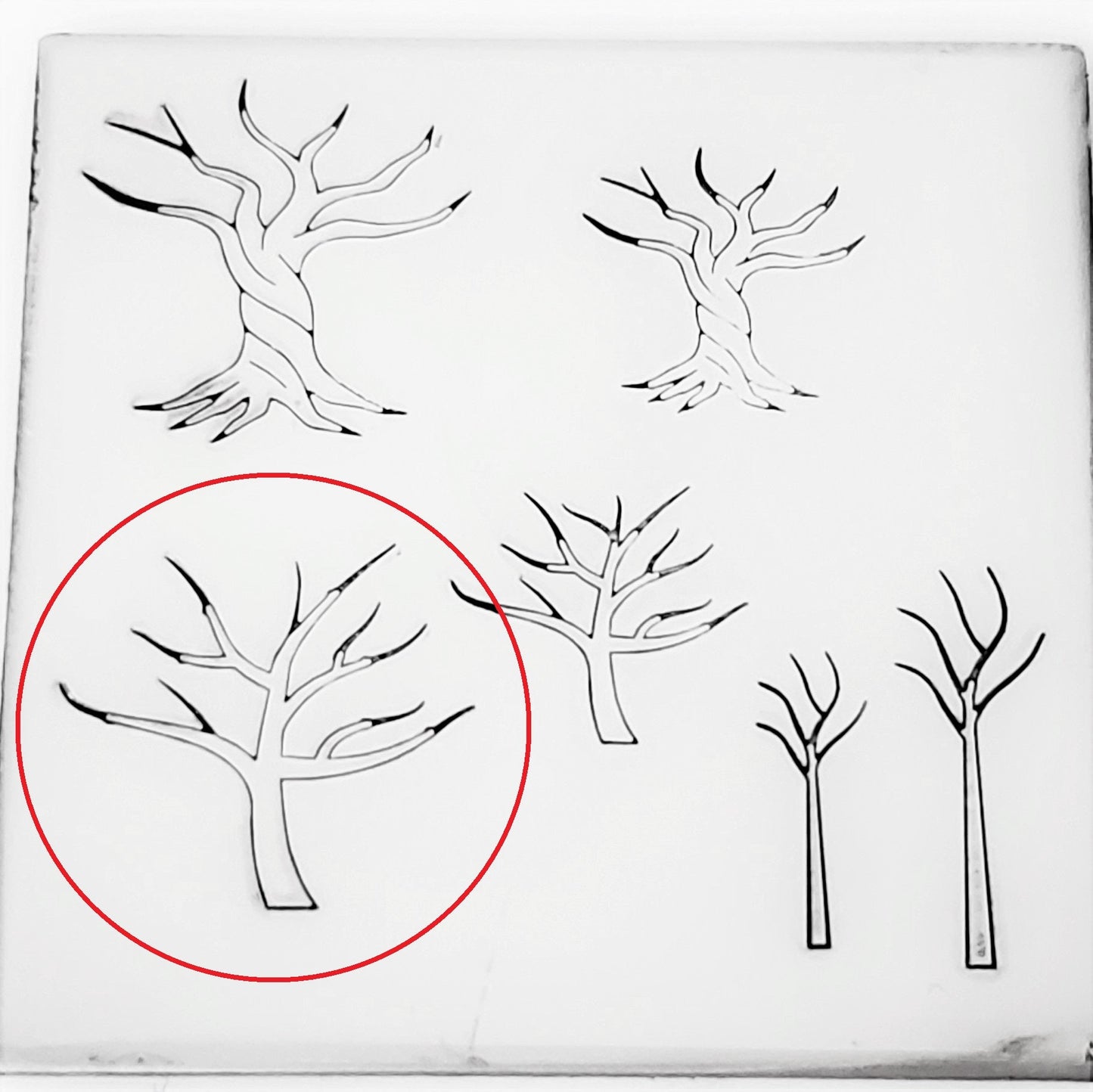 Tree Of Life