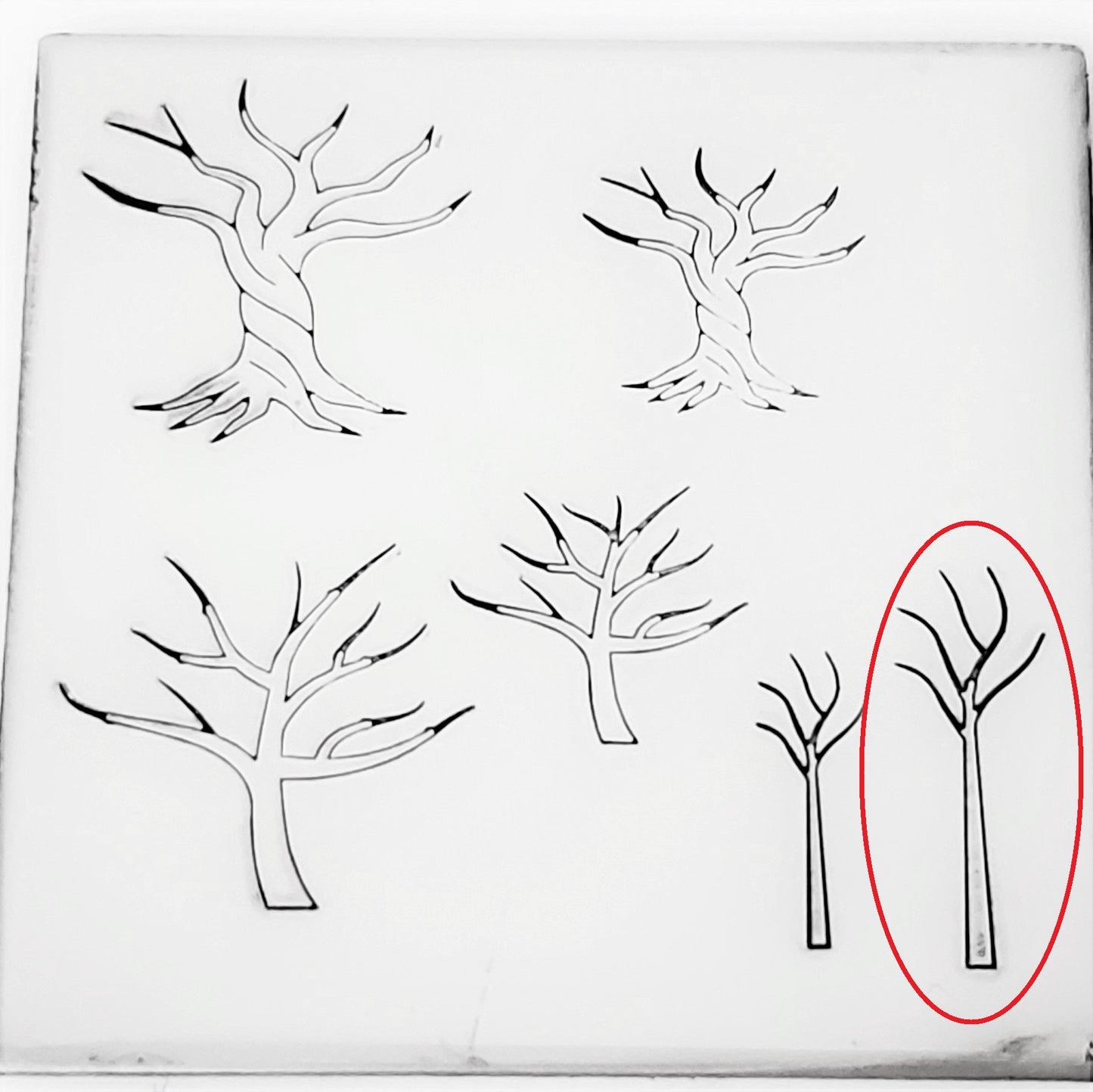 Tree Of Life