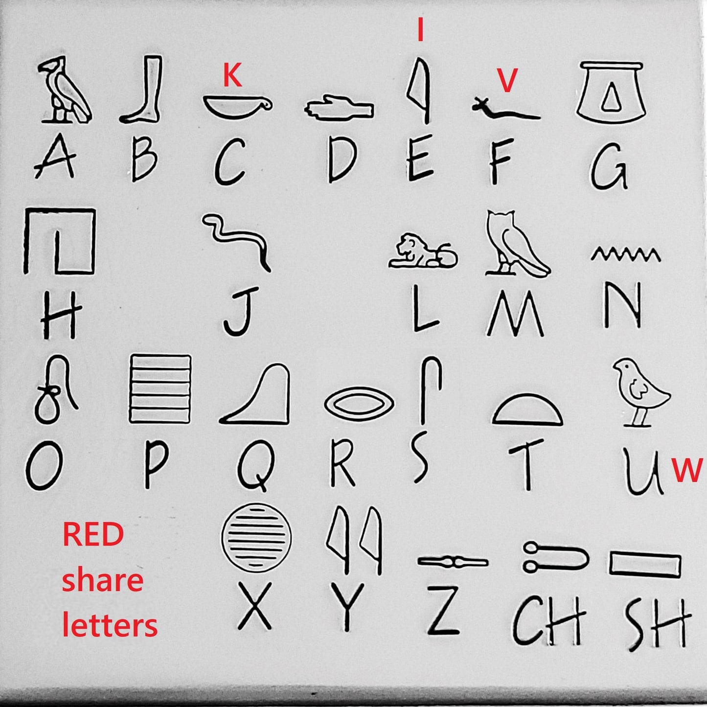 Egyptian Hieroglyphs - VAULTED