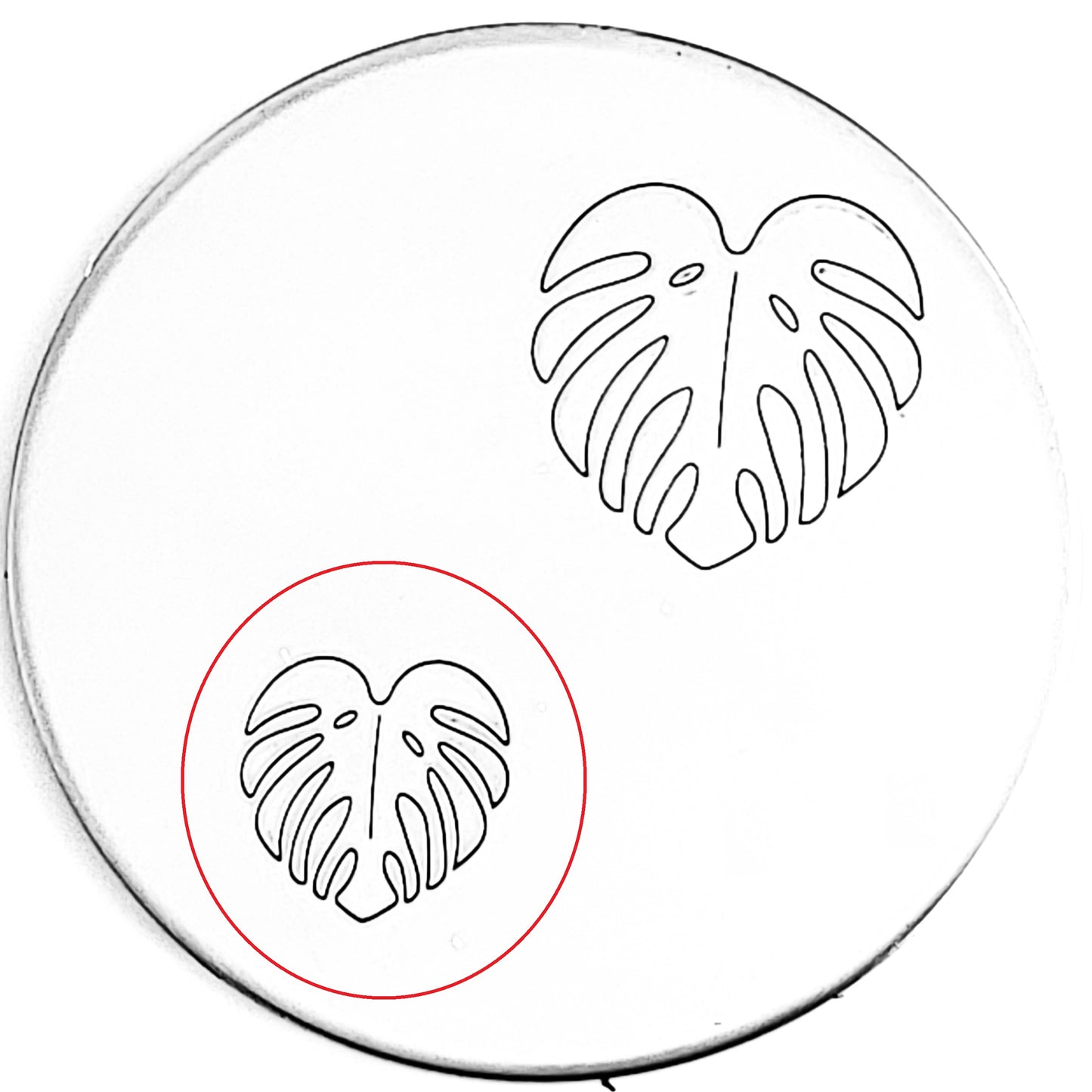Monstera #01
